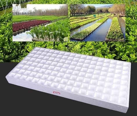Macchina per la schiumatura automatica a blocchi HS-CXJ-1750 EPS per il mercato