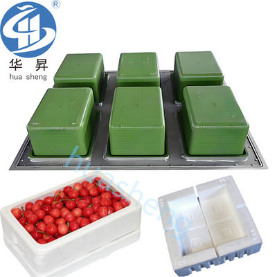 Stampo di alluminio US EPS per pesce/frutta/inghiottito/cassa d'api più fresca Stampo di prodotti a forma EPS