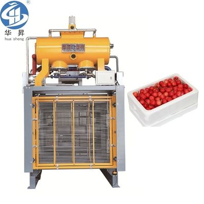 Macchine per lo stampaggio elettronico di forme EPS Stampo per la schiumatura della scatola di raffreddamento